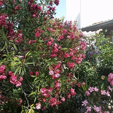 Villa Klaas Sogut (Aegean)